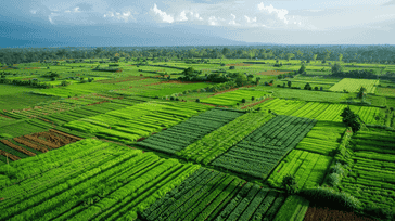 Climate-Smart Agriculture: Adapting to Environmental Changes