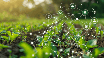 Soil Health Monitoring: Technologies for Sustainable Land Management